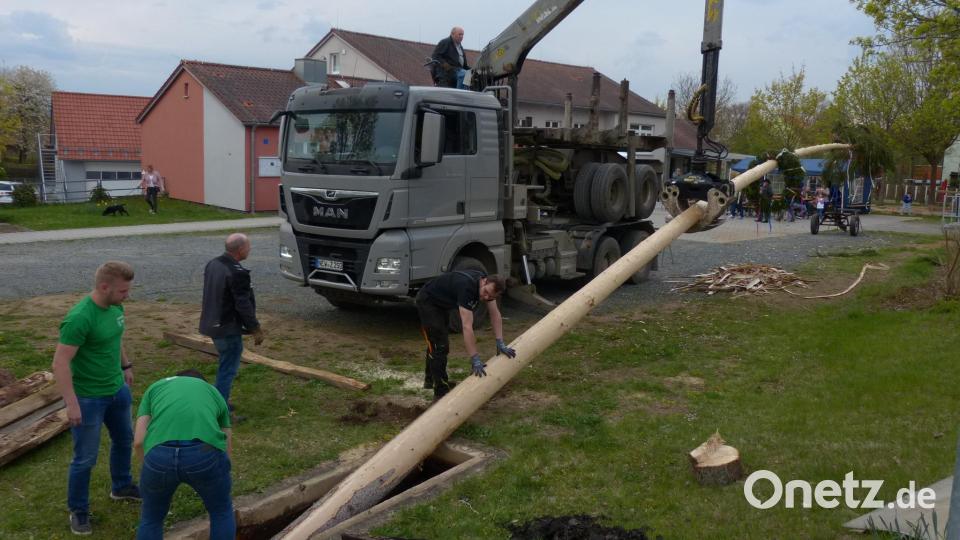 Mit viel Gefühl bugsierte Alfons Zeiler den Maibaum in das vorgesehene Loch. Bild: hme