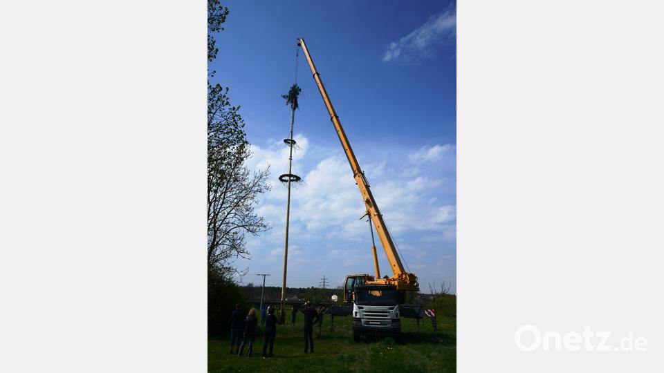 Mit Hilfe eines Kranes stellte die Freiwillige Feuerwehr Oberwildenau ihren Maibaum auf. Bild: bey