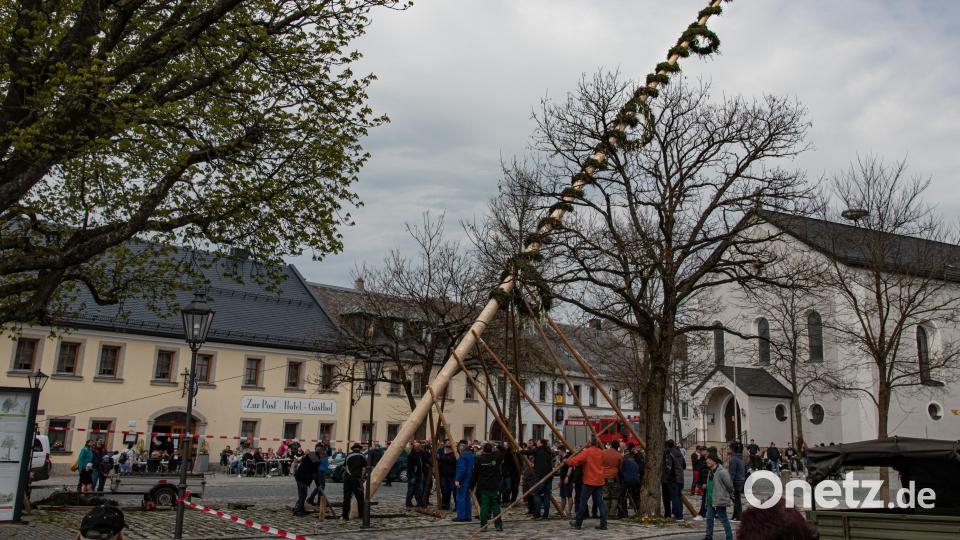 Rund 45 Minuten lang mussten die Männer anpacken, um den Maibaum in seine finale Position zu heben. Bild: Susanne Forster