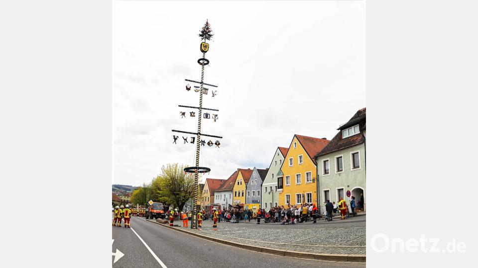 Viele Bürger feierten am Unteren Markt bei Musik der Stadtkapelle und des Spielmannszuges die Aufstellung des Maibaums durch die Feuerwehr mit. Bild: njn