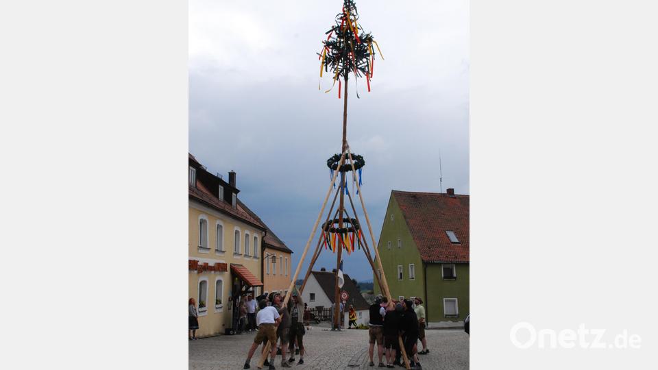 Mit Schwalben und einer Mischung aus &quot;Hauruck&quot; und &quot;Zugleich&quot; wird der Baum in die Vertikale gebracht. Bild: cvl