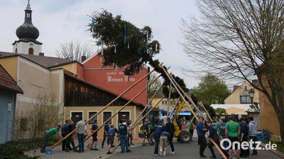 40 Konnersreuther Burschen stellten am Samstagnachmittag einen 31 Meter langen Maibaum am Therese-Neumann-Platz auf. Ausschließlich mit Muskelkraft wurde der Baum in die Höhe gehievt. Bild: jr