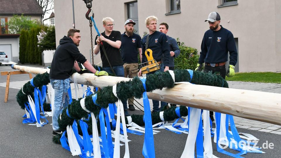Junge Feuerwehrmänner aus Schirmitz stellten den Maibaum auf. Bild: hcz