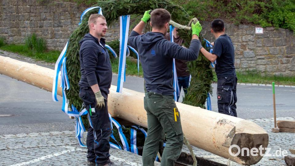 Die KLJB Störnstein bereitet den Baum zum Aufrichten vor Bild: bgm