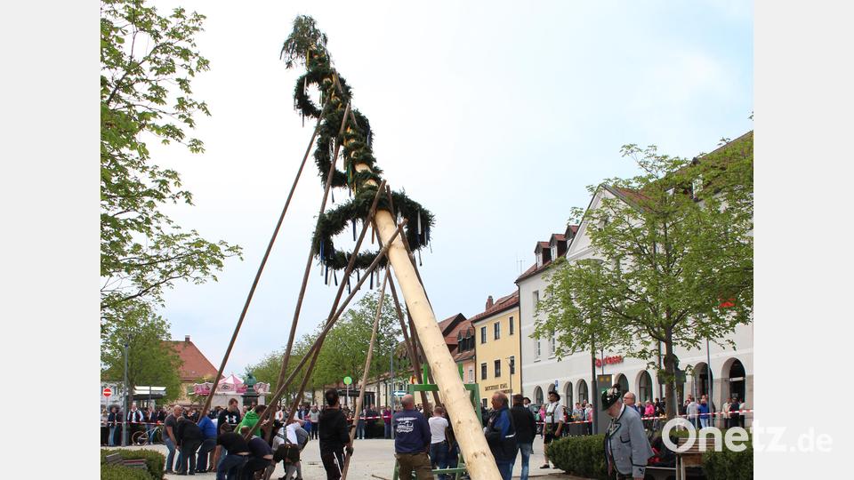 Der Maibaum gewinnt auch in Tirschenreuth dank vieler Helfer an Höhe. Bild: heb