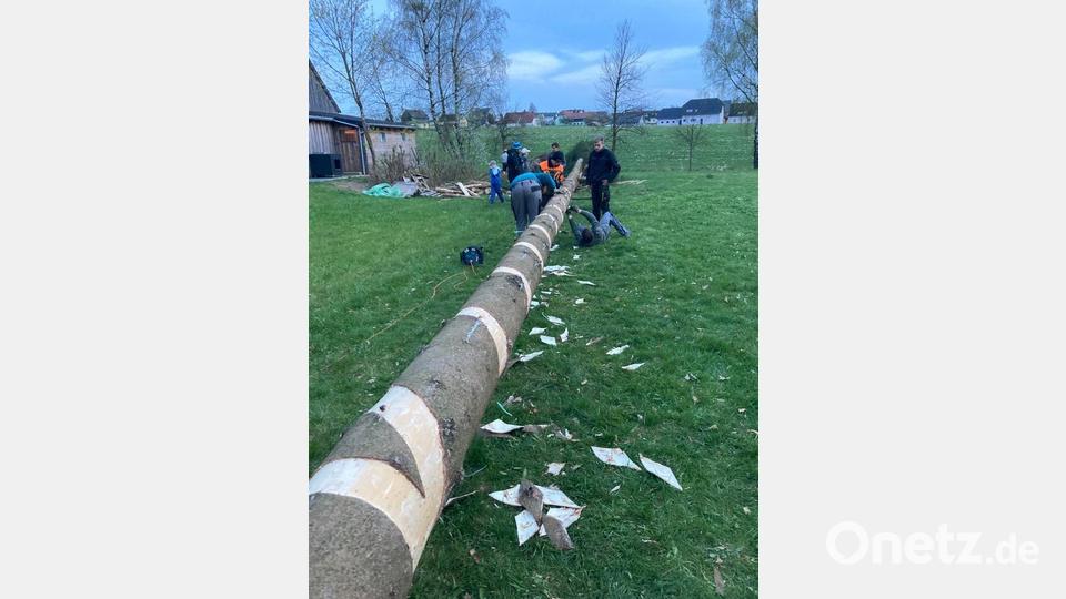 Der Maibaum wird hergerichtet. Bild: edo