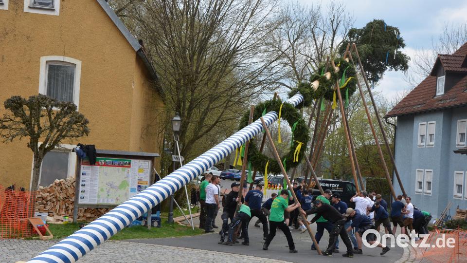 Mit Schwalben stützten die Mitglieder des Burschenvereins den blauweiß geschmückten Stamm ab. Bild: jr
