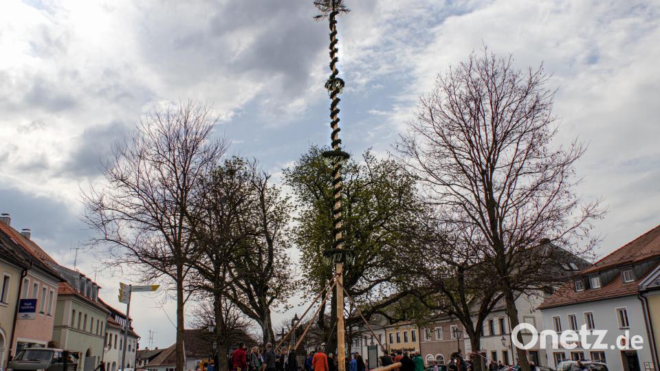 Der Maibaum am Marktplatz in Bärnau wurde im Stadtwald gefällt. Bild: Susanne Forster