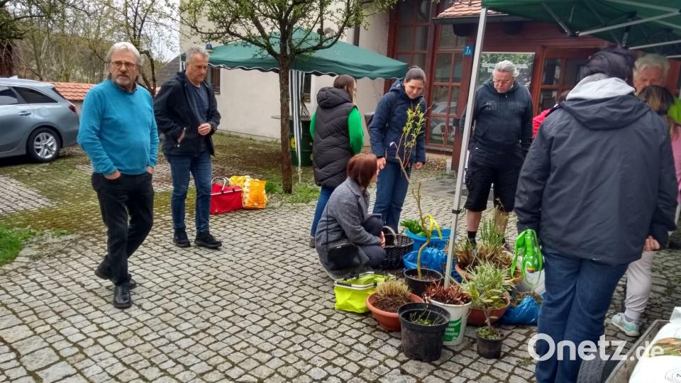 Gemütliche Staudensichtung. Bild: André Dietrich/exb