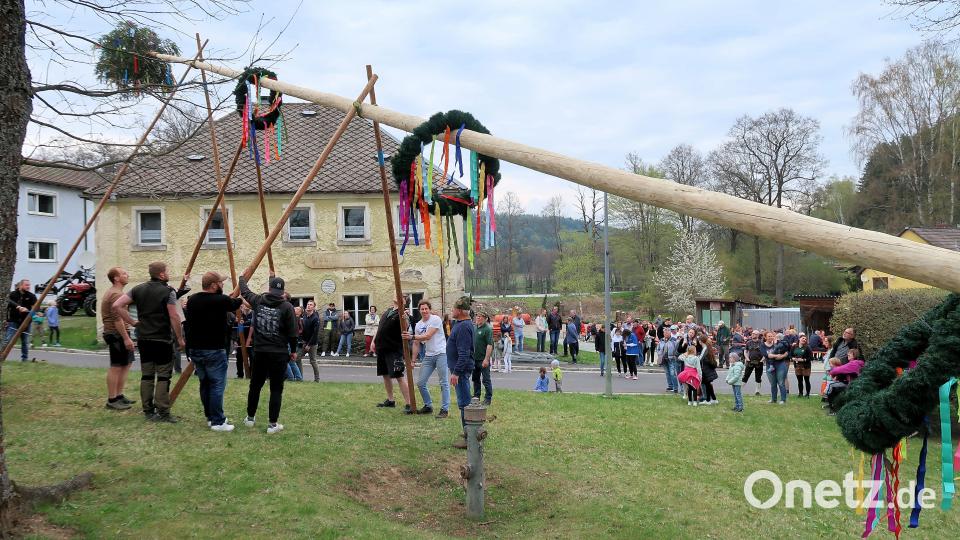 Mit Kränzen und bunten Bändern geschmückt ist der 27 Meter lange Maibaum im Friedenfelser Ortsteil Frauenreuth. Bild: bsc