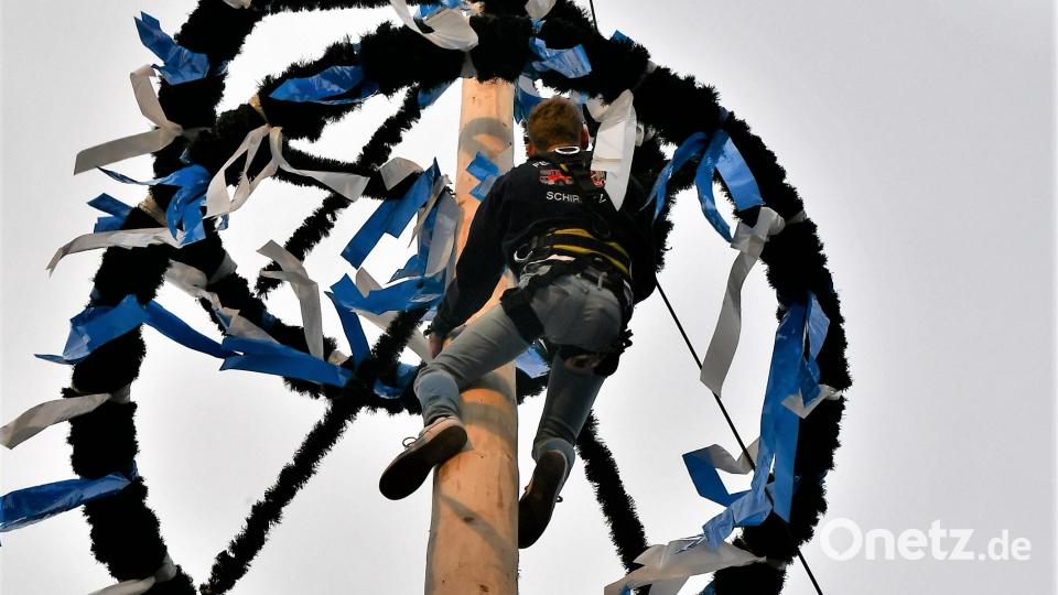 Thomas Koller bei den letzten Arbeiten im Kranz des Schirmitzer Maibaums in fast 23 Metern Höhe. Bild: hcz