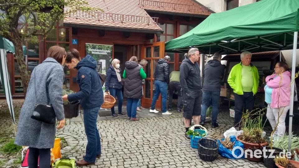 Gemütliche Staudensichtung. Bild: André Dietrich/exb