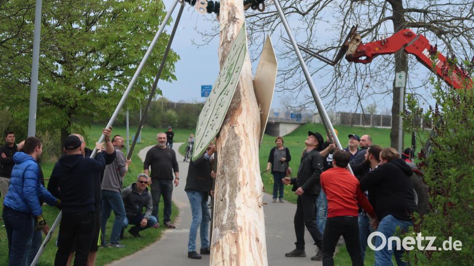 Und hoch damit! Bild: Kunz