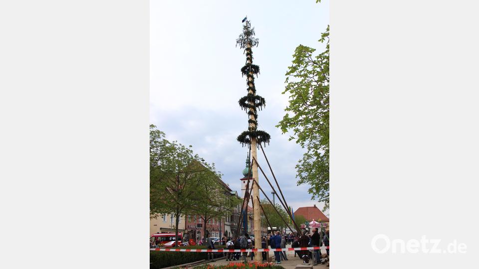Dutzende Helfer haben den Baum in die Senkrechte geschafft. Bild: heb