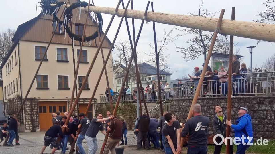 Lang und schwer war der Baum in Brand und es gelang nur in ganz kleinen Schritten, ihn in die Senkrechte zu stellen und ihn in der Halterung zu verankern. Bild: ld