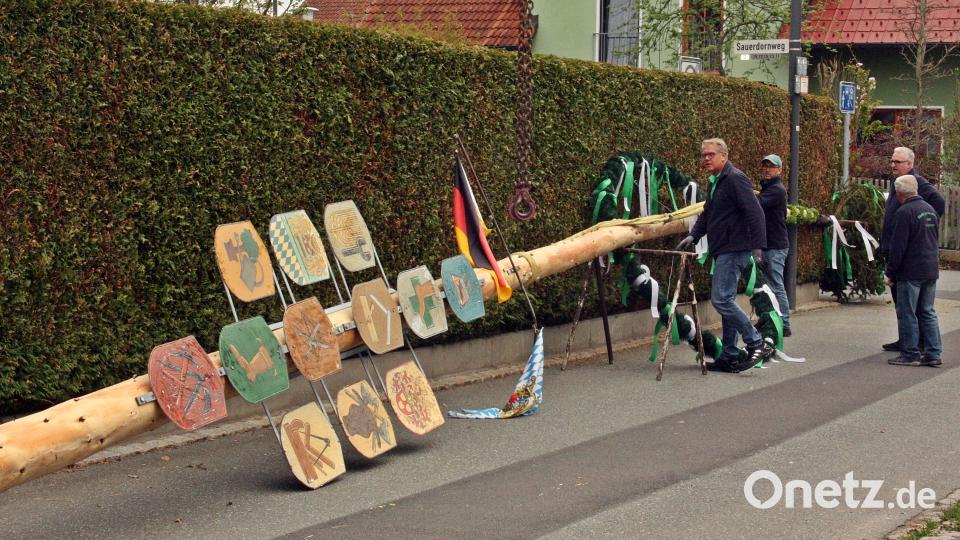 Noch liegt der geschmückte Baum mit Schildern der Innungs- und Berufszünfte auf Holzböcken, doch er ist schon an dem Kran gebunden, der ihn in die Vorrichtung hebt. Bild: R. Kreuzer
