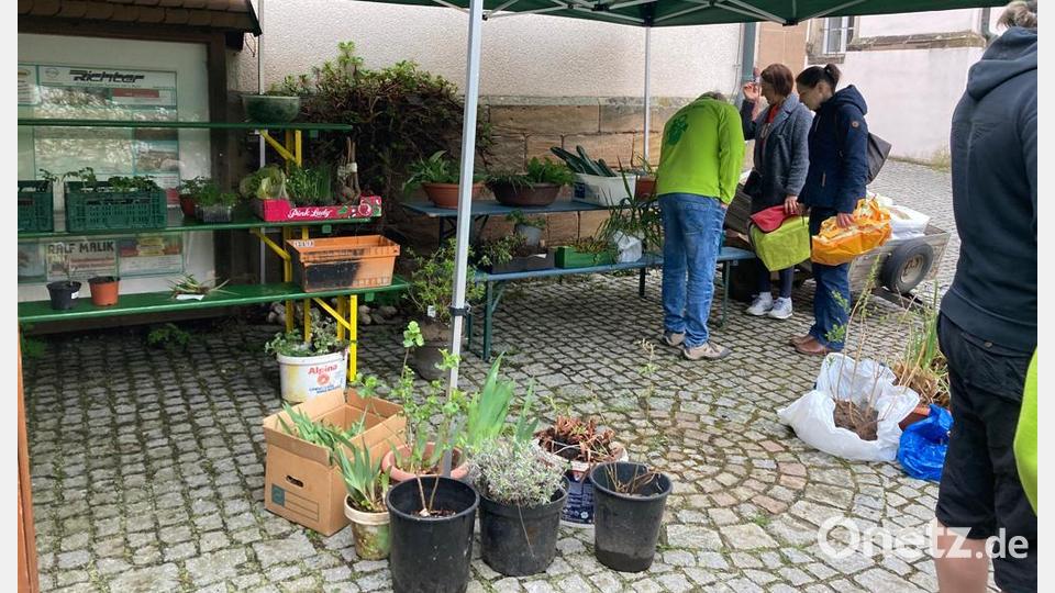 Gemütliche Staudensichtung. Bild: André Dietrich/exb