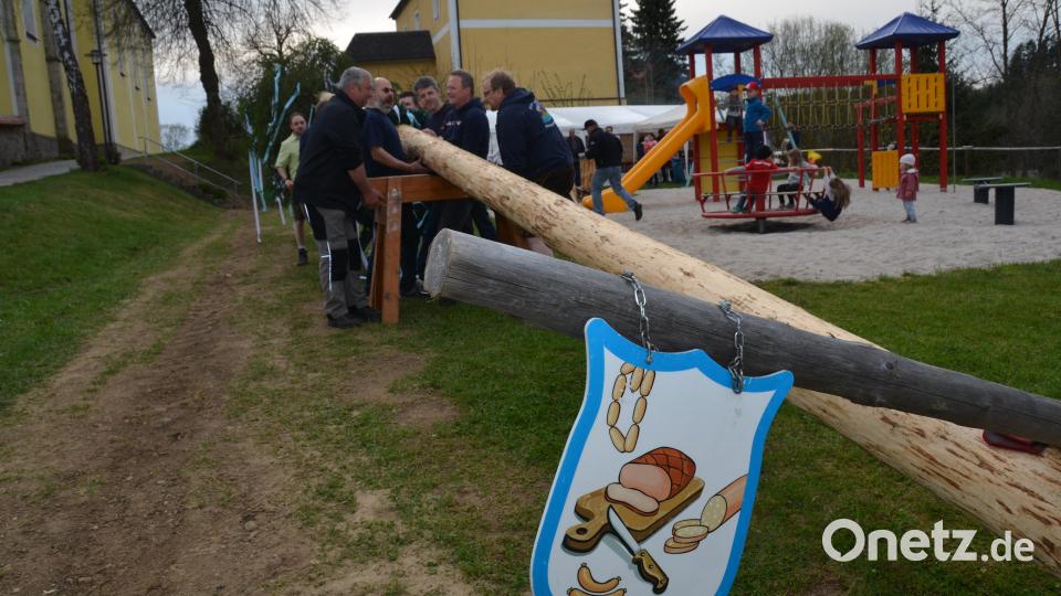 Jetzt heißt es kräftig anpacken für die Männer der Freiwilligen Feuerwehr, die den Baum noch per Hand und Schwalben aufrichten. Bild: dob