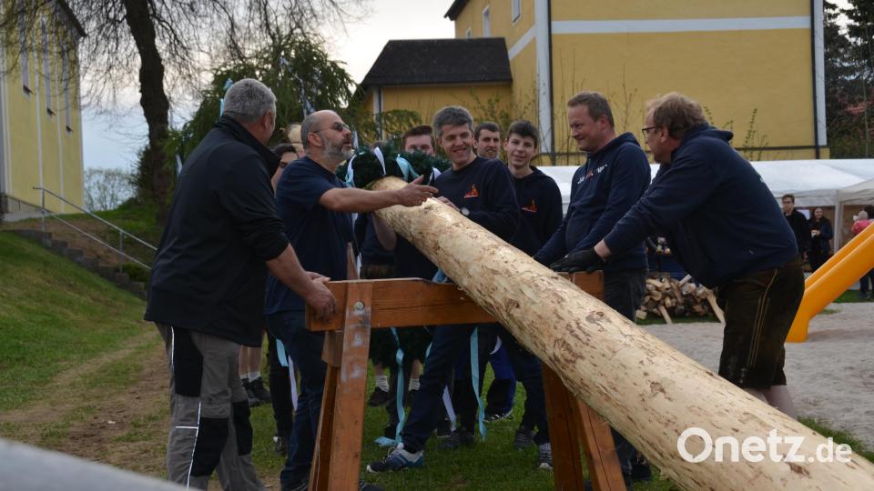 Der ehemalige Kommandant Ludwig Höning (Zweiter von links) gab das Kommando zum Aufstellen des Frühlingsboten. Bild: dob
