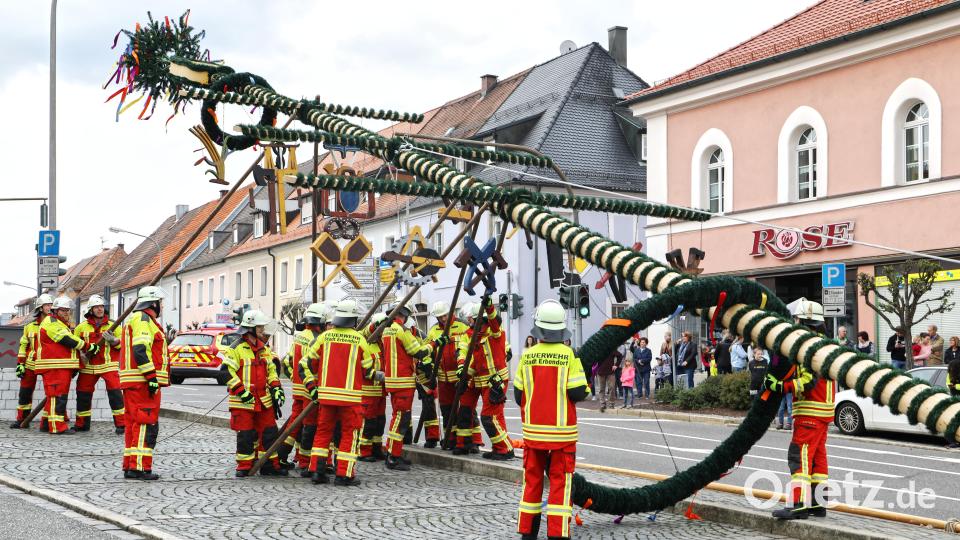 Muskelkraft war bei den Aktiven der Feuerwehr bei der Aufstellung gefragt. Aus Sicherheitsgründen wurde der alte, gut vier Jahre alte Stamm nicht mehr wiederverwendet. Heuer hat er eine Höhe von knapp 23 Metern. Bild: njn