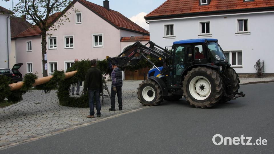 Mehrmals muss der Stamm angehoben werden. Wertvolle Unterstützung leistet dabei ein Traktor, den ein OWV-Mitglied zur Verfügung gestellt hat. Bild: wro