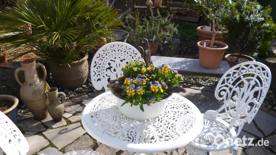 Der Kräutergarten ist zu allen Jahreszeiten einen Besuch wert. Jetzt im Frühjahr grünt und blüht es an allen Ecken und Enden. Bild: ads