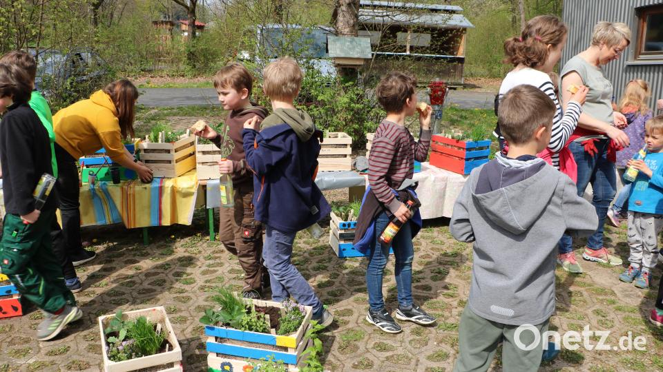 Ein geschäftiges Treiben herrscht bei der Pflanzaktion des Gartenbauvereins Edelsfeld. Bild: gru