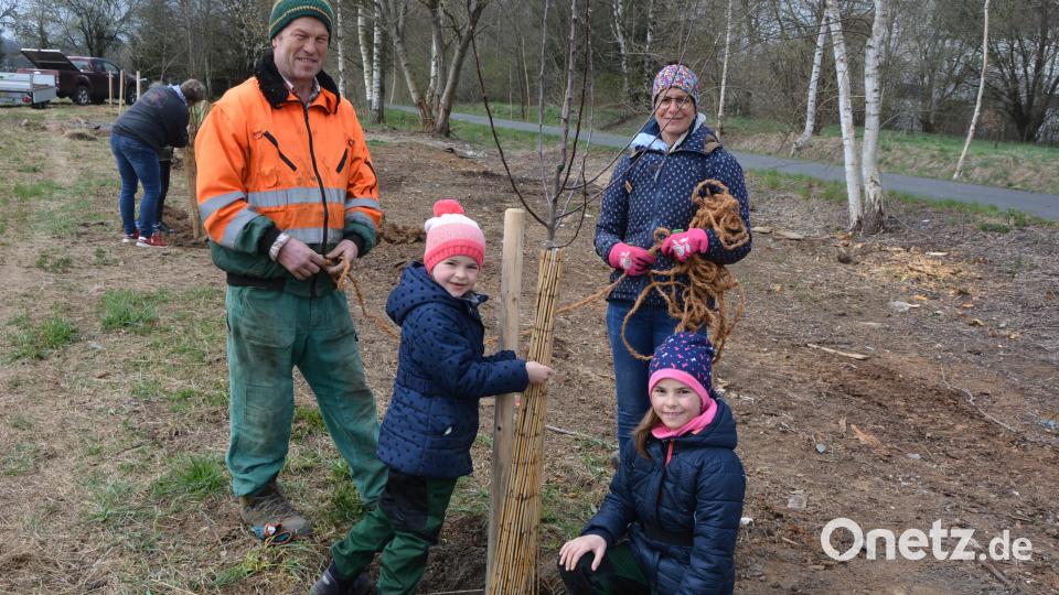 30 kleine Bäumchen hat die Jugendgruppe des Obst- und Gartenbauvereins 
Mitterteich an der Wehrpoint eingepflanzt. Unterstützung leisteten unter anderen Gruppenleiterin Iris Kick und Peter Jacobey. Bild: jr