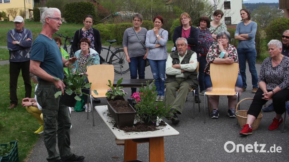 Die an ihn gestellten Fragen wurden von Gottfried Fröhlich, während er die Blumenkästen bestückte, sofort beantwortet. Bild: wro