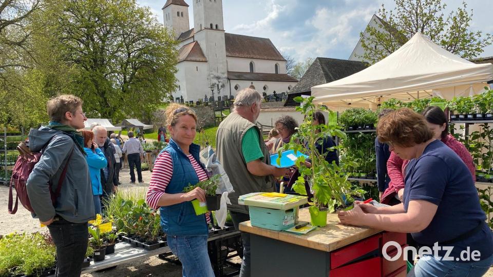 Im Museumshof und auf dem Vorplatz deckten sich die Besucher mit Pflanzen, Deko für den Garten und landwirtschaftlichen Produkten ein. Bild: Völkl
