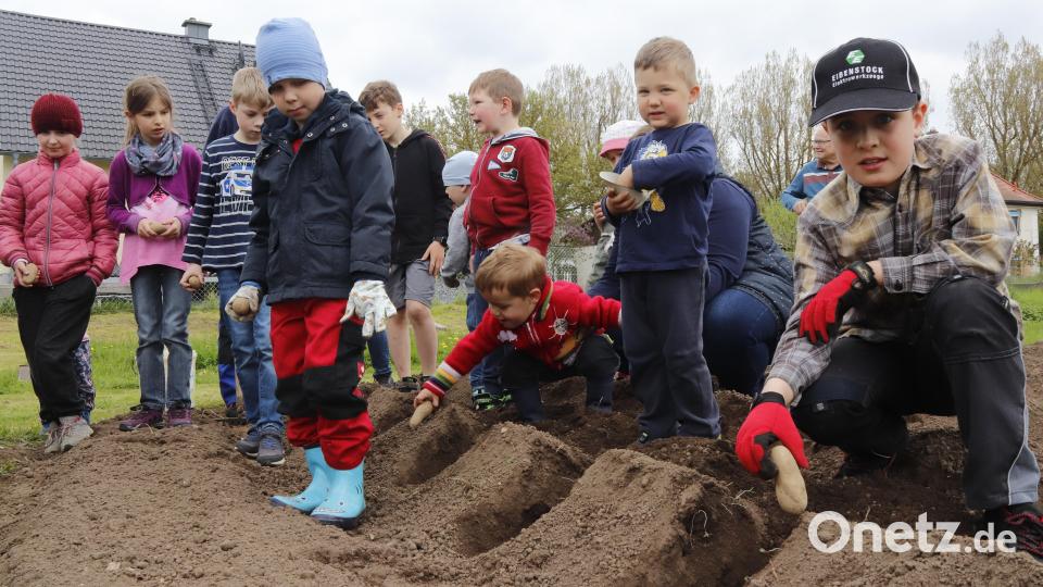 Einige Beteiligte der Pflanzaktion auf dem kleinen Kartoffelfeld der Siedlergemeinschaft Rosenberg. Bild: mfh
