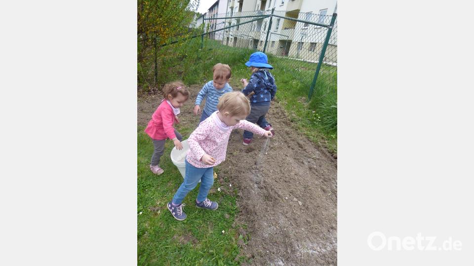 Krippenkinder schaffen sich eine Blühwiese Bild: rn
