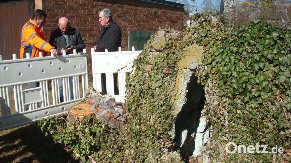 Zur einer Besichtigung der alten Lourdesgrotte im Garten des Städtischen Kinderhauses trafen sich (von links) Bauhofleiter Wolfgang Stark, Arbeits-Heimatpflege-Mitglied Theo Schaumberger und AK-Vorsitzender Erhard Sommer. Bild: wmr