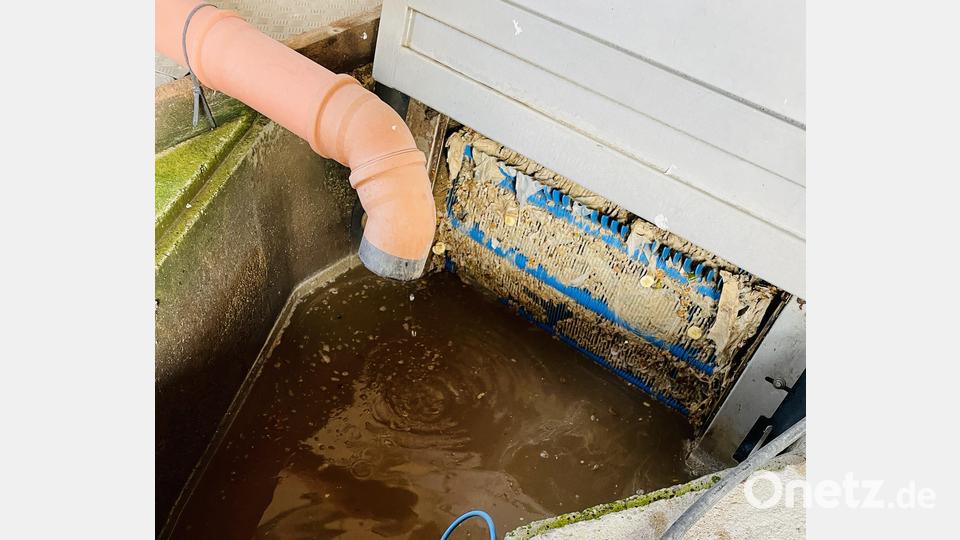 Aus diesem Klärbecken hat ein Mitarbeiter der Anlage das Tier gerettet. Bild: Nadine Niebauer