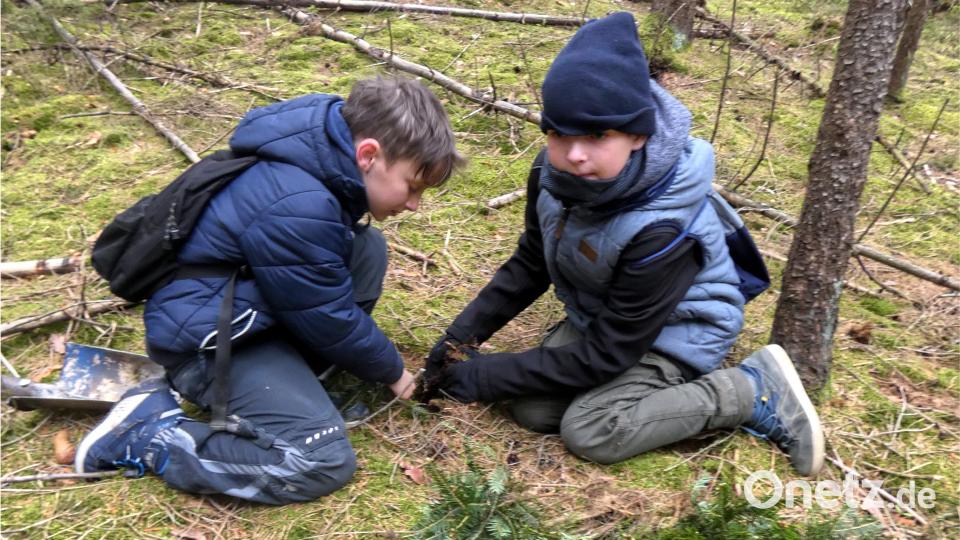 Viel Spaß hatten die Kinder und Jugendlichen bei der Pflanzaktion im Hessenreuther Wald. Bild: njn