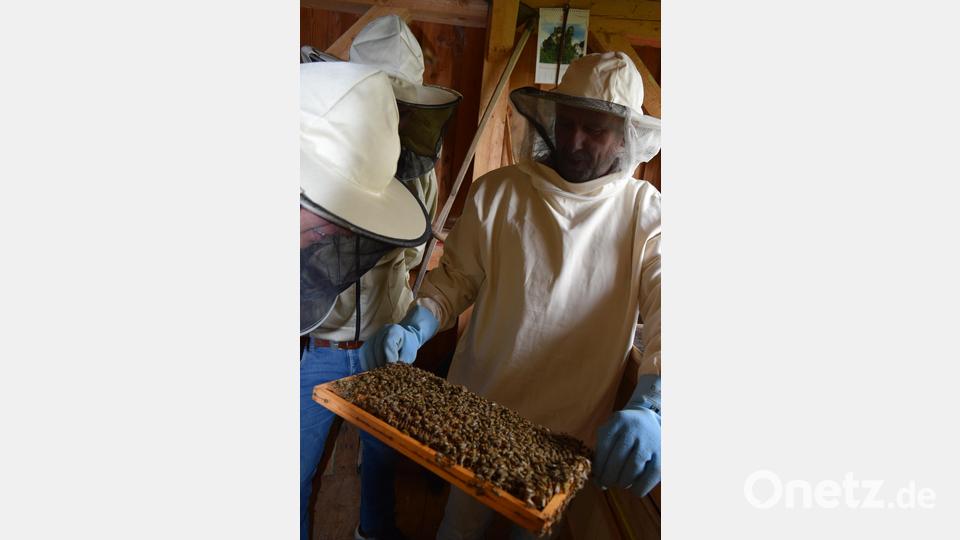 Fachwart Joachim Pickel (rechts) hat viele Tipps für die neuen Imker des Bienenzuchtvereins Edelsfeld. Bild: wfe