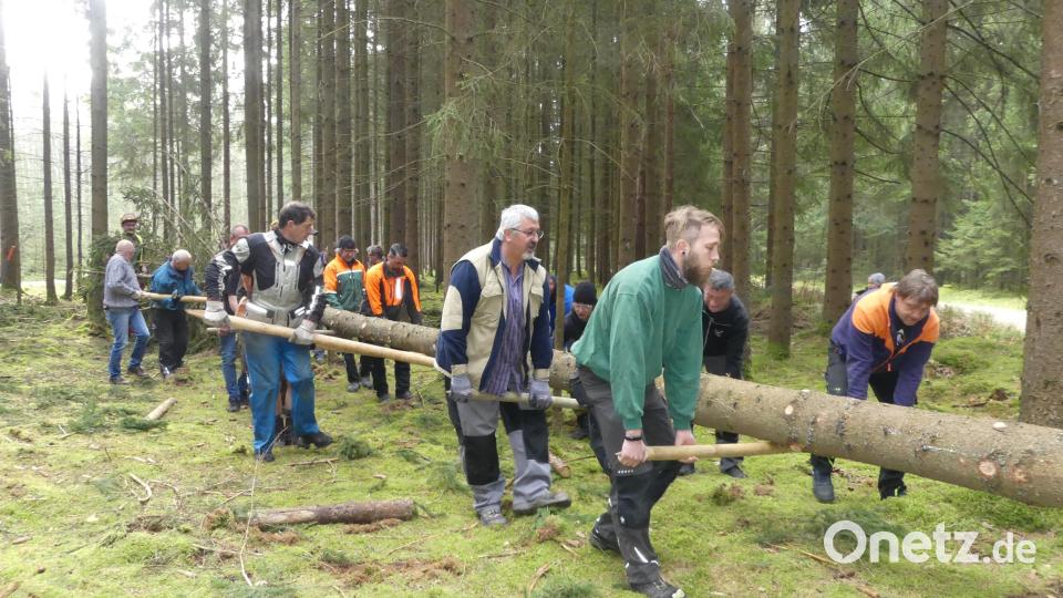 Abtransport des Maibaums für Eschenbach zum Forstweg.
. Bild: rn