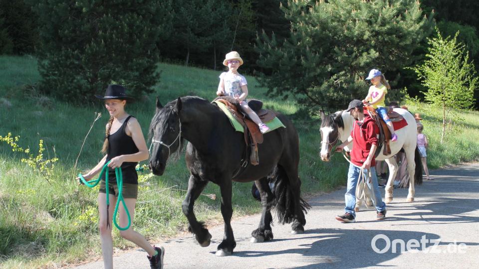 Das Ponyreiten kommt bei den Kindern bestens an. Bild: pi