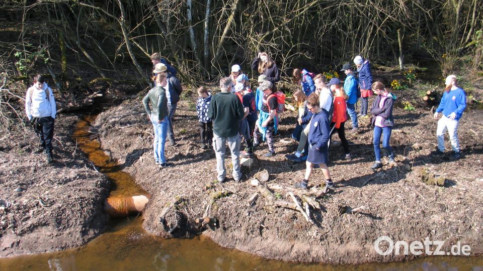 Das, was der Baumeister des Wassers macht, ist nicht immer im Sinn des Menschen. Oft muss verhindert werden, dass er Abflüsse verstopft oder Dämme an ungeeigneten Stellen errichtet. Hier an der B 22 ist mit umfangreichen Maßnahmen Sorge zu tragen, den Verkehr nicht zu gefährden, wie Hans Rösch erläuterte. Bild: bkr