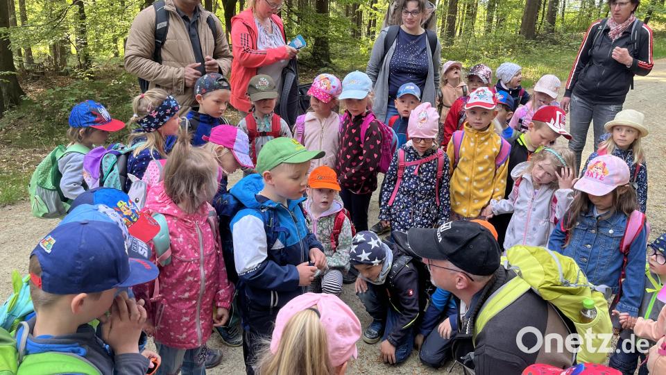 Aufmerksam hören die Kinder den Erläuterungen von Willibald Gleißner (kniend, rechts) zu. Bild: pi