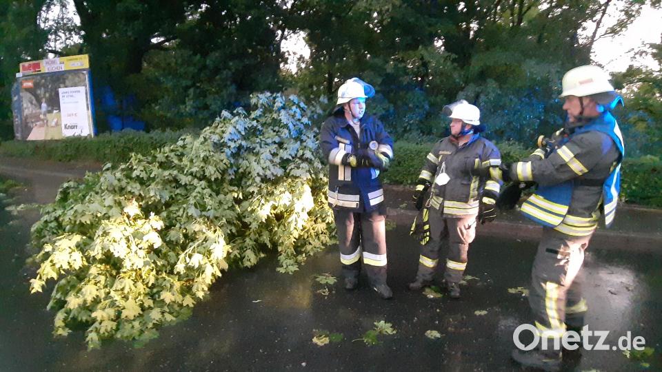 Die Feuerwehr Weiden hatte gut zu tun, auch in der Dr.- Martin-Luther-Straße. Bild: Kunz