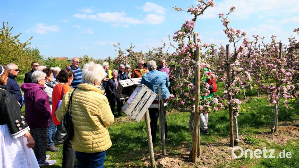 Das &quot;Alte Land&quot; bei Hamburg war Ziel des VdK Grafenwöhr. Bild: rgr