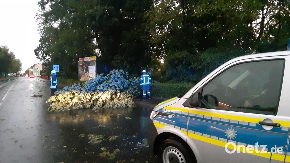 Am Freitagabend musste in Weiden die Feuerwehr ausrücken, um in der Dr.- Martin-Luther-Straße einen umgefallenen Baum zu beseitig. Bild: Kunz