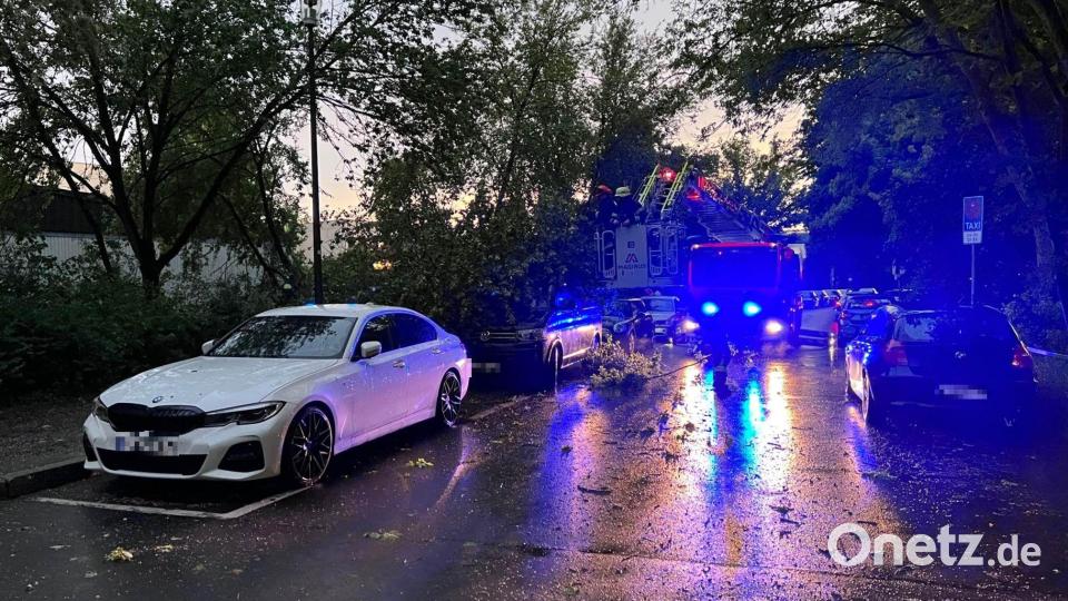 In Weiden ist ein Baum auf ein Auto gefallen. Bild: Eva Hinterberger