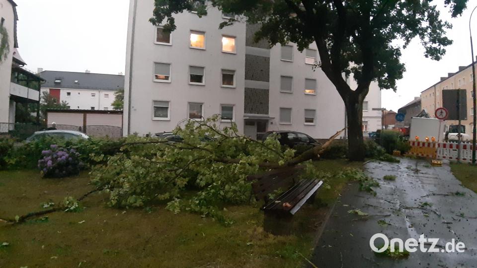Umgeknickte Bäume auch am Rot-Kreuz-Platz in Weiden. Bild: Kunz
