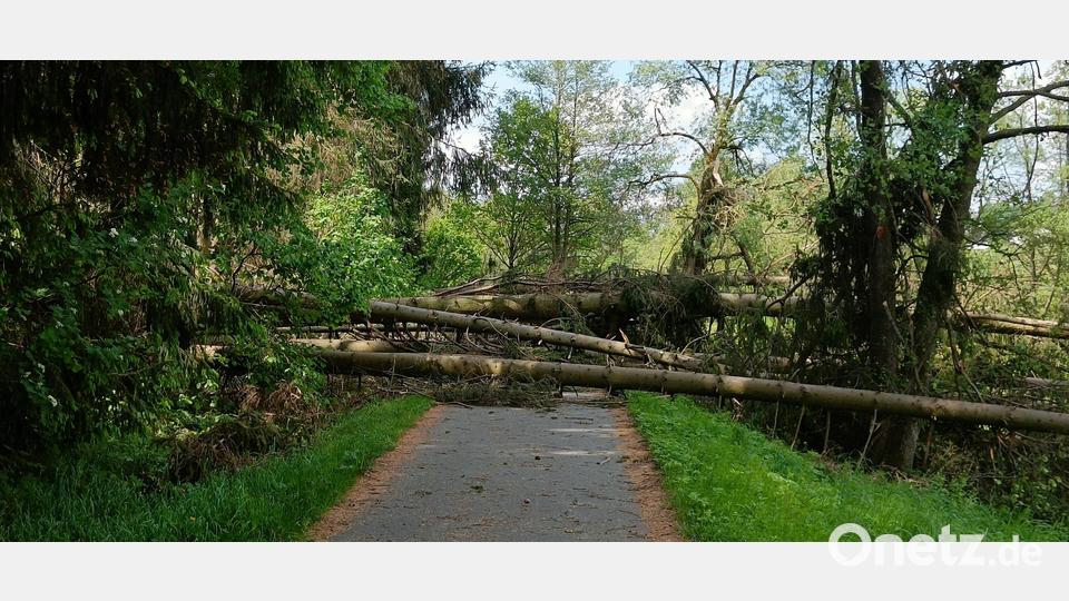 Hier konnte keiner mehr mit dem Fahrrad fahren. Der Sturm am Wochenende ließ Bäume umstürzen und somit war der Fichtelnaabradweg bei Krummennaab nicht mehr passierbar. Bild: fks