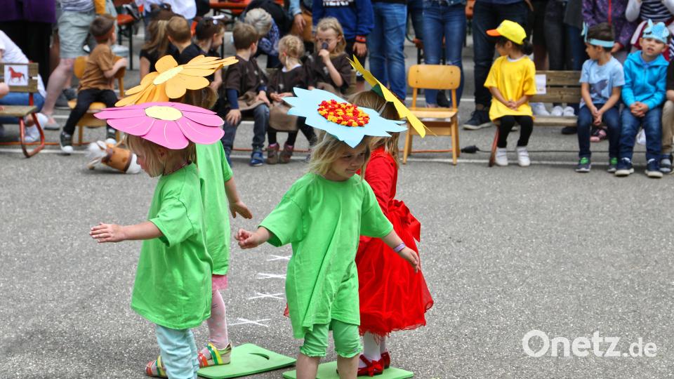 Blumenblüten waren die Boten des Frühjahrs Bild: njn