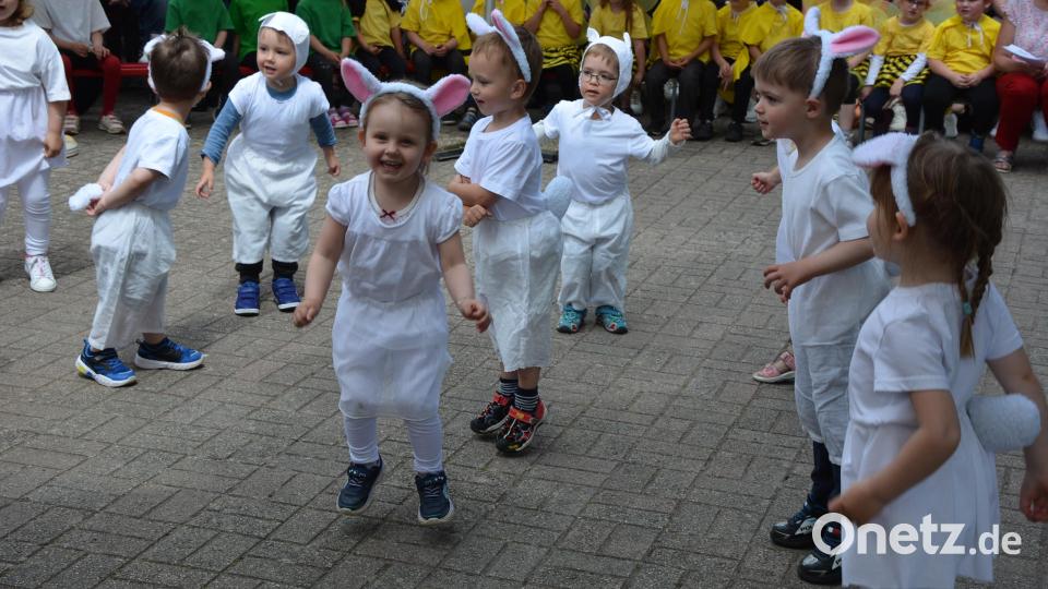 Viele kleine Schäfchen gab es zu bestaunen. Bild: jr