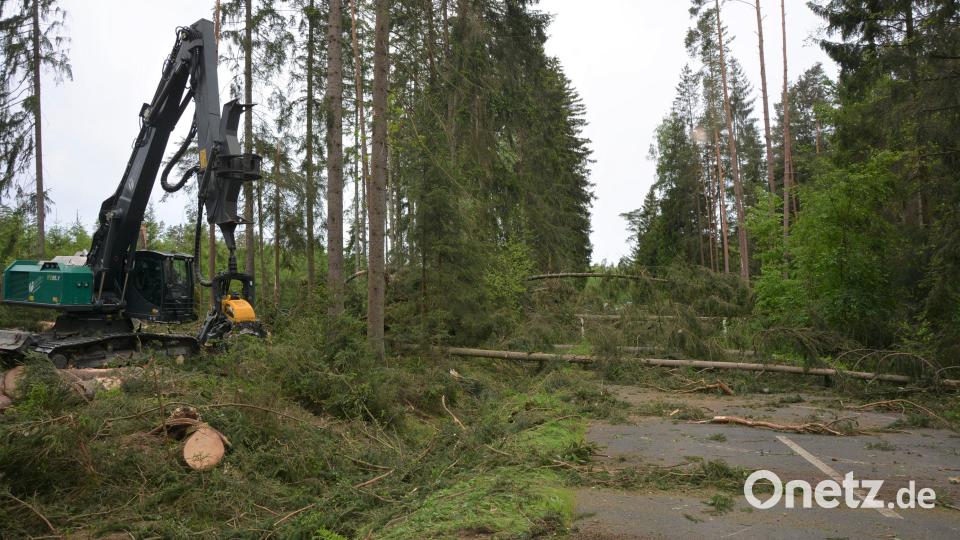 Ein starker Harvester machte die Straße nach Großensees wieder frei. Bild: jr