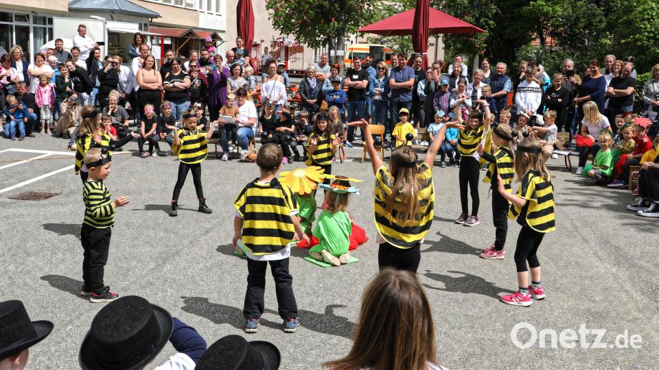 Viele Bienen auf dem Pausenhof. Sie kündigten den Sommer an. Bild: njn